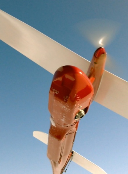 File:Pteryx UAV - wiki.jpg